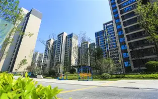 Ning主教练3选1结果意外(主教练cba)